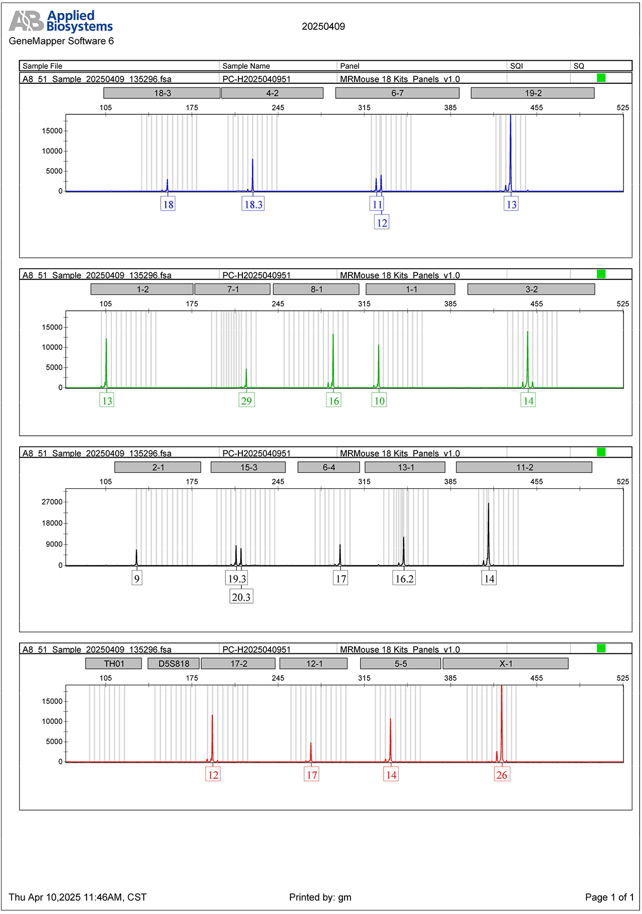 小鼠STR鉴定图谱