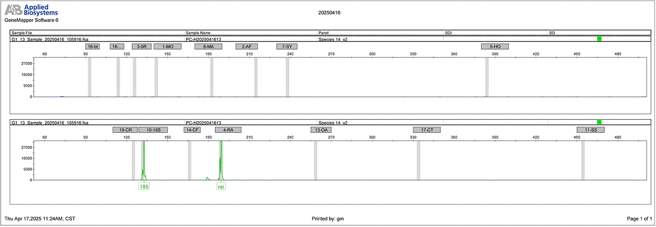 人源细胞STR鉴定图谱