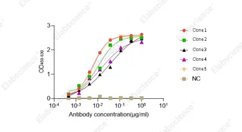 Anti-IgG（Clone 1-5）ELISA检测