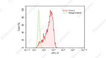 Anti-IgG（Clone 1）Raji细胞FACS验证