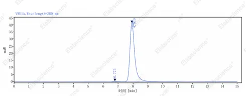Anti-IgG（Clone 1）纯度HPLC检测（纯度>99%）